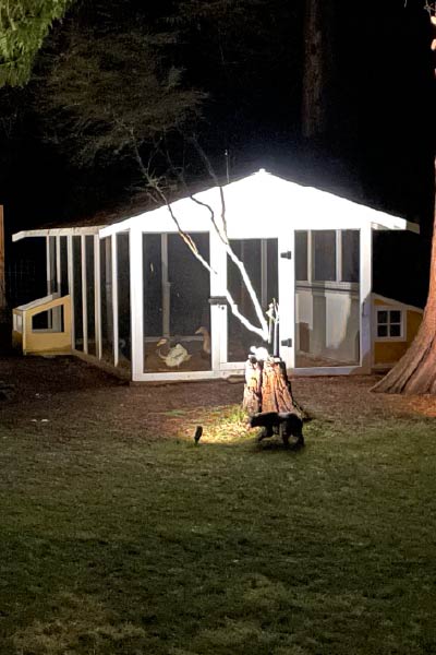 whidbey island electrician security lighting for a residenceon whidbey island
